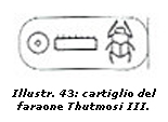 Illustr. 43: cartiglio del faraone Thutmosi III.